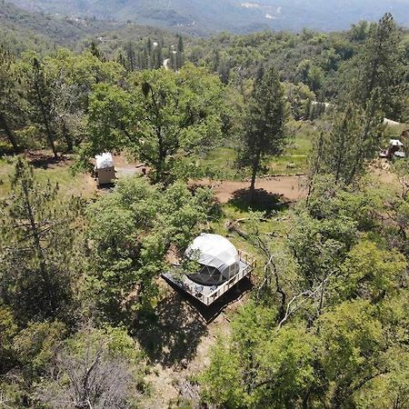Enchanted Forest Dome ,10-15 Minutes To Kings Canyons-New Pellet Stove For Cozy Warm Nights Dunlap Eksteriør bilde