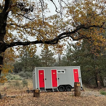 Enchanted Forest Dome ,10-15 Minutes To Kings Canyons-New Pellet Stove For Cozy Warm Nights Dunlap Eksteriør bilde